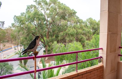 Apartamento / piso - Reventa - Guardamar del Segura - Center