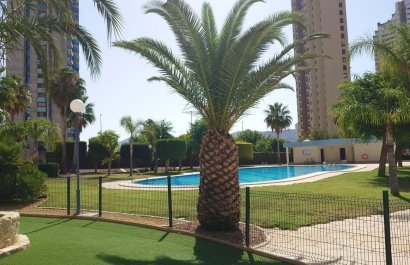 Apartment / flat - Resale - Benidorm - Benidorm