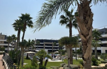 Apartment / flat - Resale - Orihuela Costa - Playa Flamenca