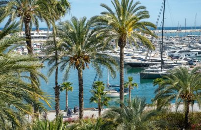 Apartments - Flats - Herverkoop - Alicante - Center