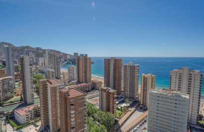Apartments - Flats - Herverkoop - Benidorm - Benidorm