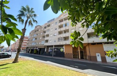 Apartments - Flats - Herverkoop - Torrevieia - Center