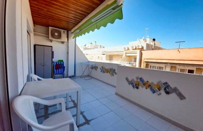 Apartments - Flats - Resale - Torrevieia - Playa Los Locos