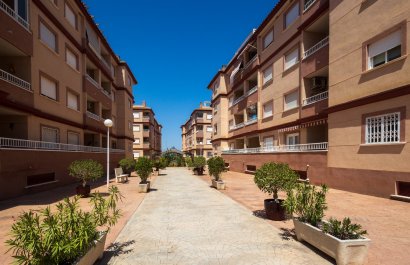 Apartments - Flats - Reventa - Algorfa - Algorfa
