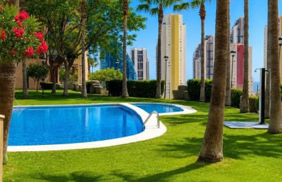 Apartments - Flats - Reventa - Benidorm - Playa Poniente