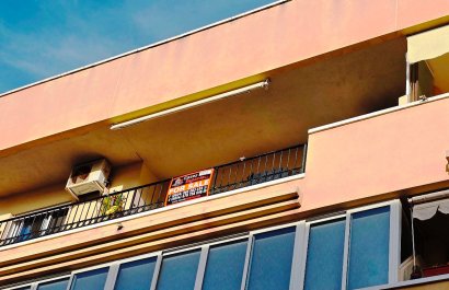 Appartement / flat - Herverkoop - Almoradí - Almoradí