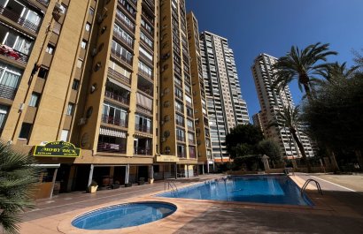 Appartement / flat - Herverkoop - Benidorm - Levante