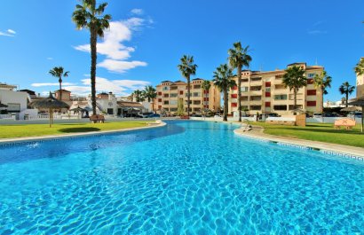 Appartement / flat - Herverkoop - Playa Flamenca - Playa Flamenca