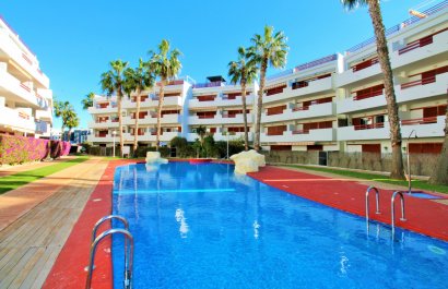 Appartement / flat - Herverkoop - Playa Flamenca - Playa Flamenca