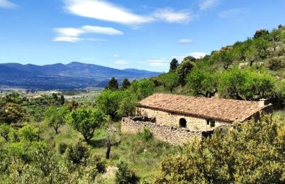 Country House - Herverkoop - Benasau - Benasau