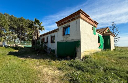 Country House - Reventa - Guardamar del Segura - Guardamar del Segura