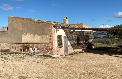 Country House - Reventa - Monóvar - Monovar