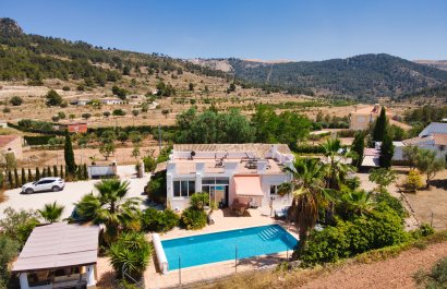 Country House - Reventa - Pinoso - Pinoso