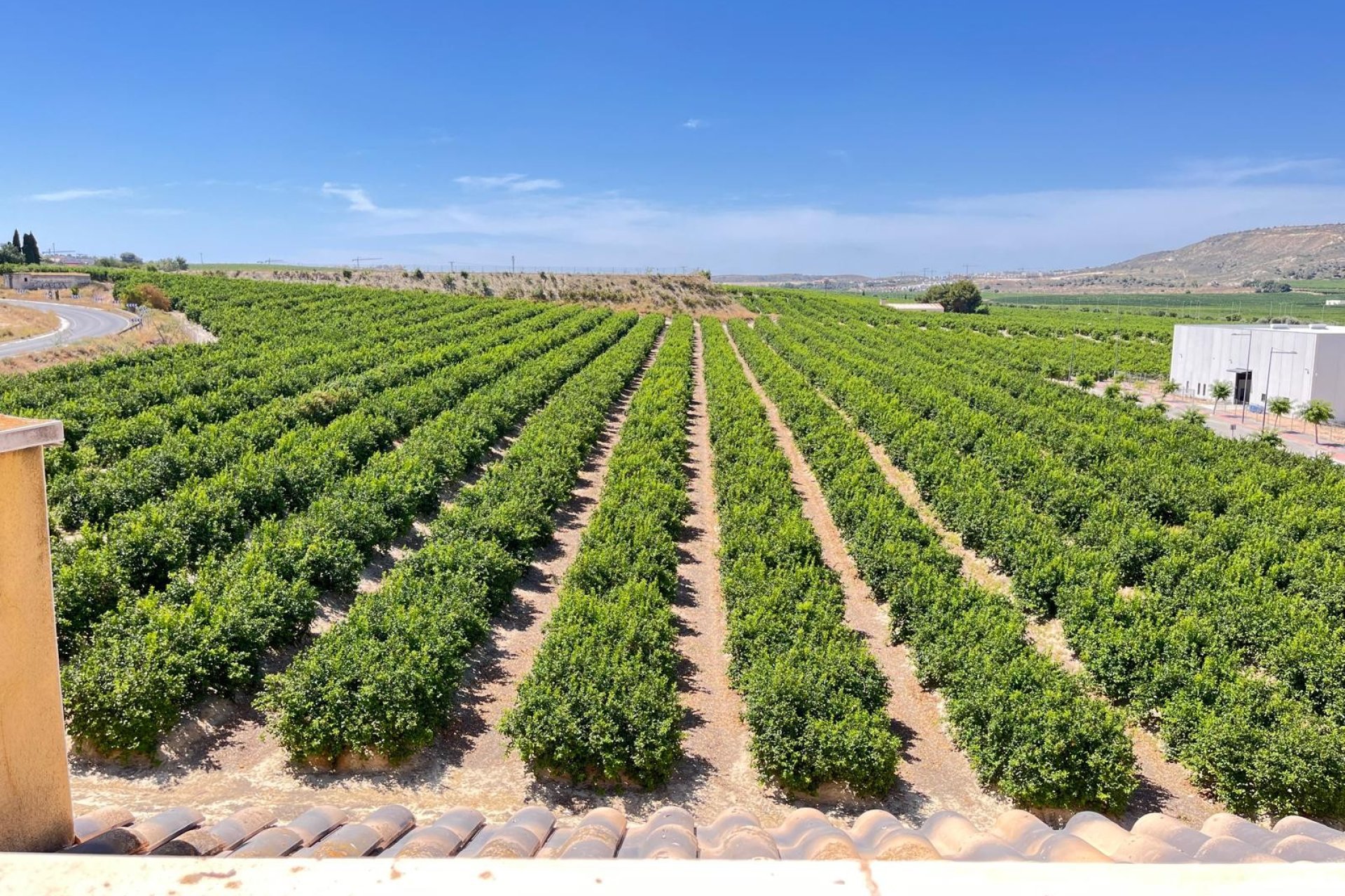 Herverkoop - Apartments - Flats - Algorfa - Pueblo