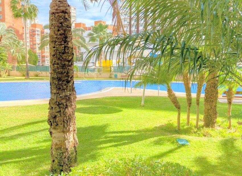 Herverkoop - Apartments - Flats - Benidorm - Rincón de Loix
