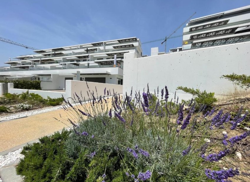 Herverkoop - Apartments - Flats - Finestrat - Seascape Resort