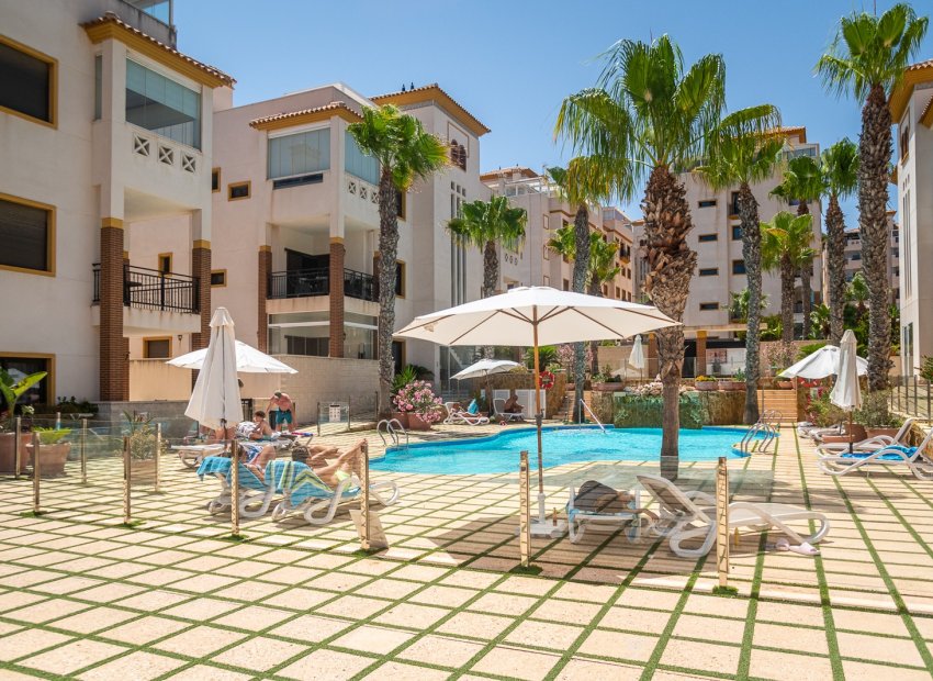 Herverkoop - Apartments - Flats - GUARDAMAR DEL SEGURA - Guardamar del Segura