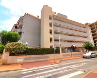 Herverkoop - Apartments - Flats - Guardamar del Segura