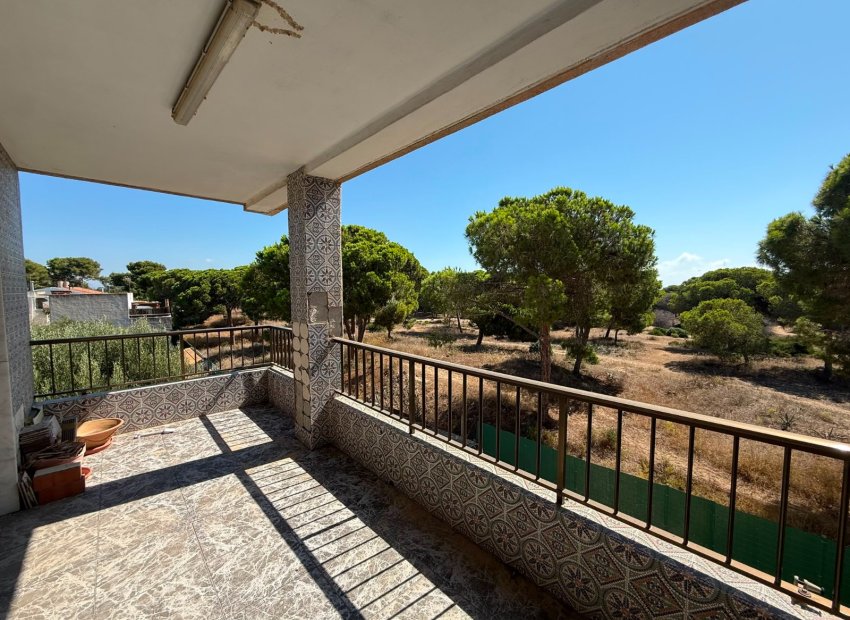 Herverkoop - Apartments - Flats - Guardamar del Segura