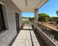 Herverkoop - Apartments - Flats - Guardamar del Segura