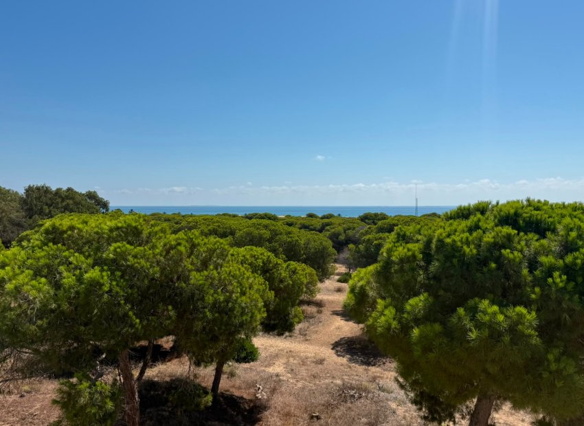 Herverkoop - Apartments - Flats - Guardamar del Segura