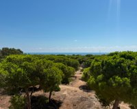 Herverkoop - Apartments - Flats - Guardamar del Segura