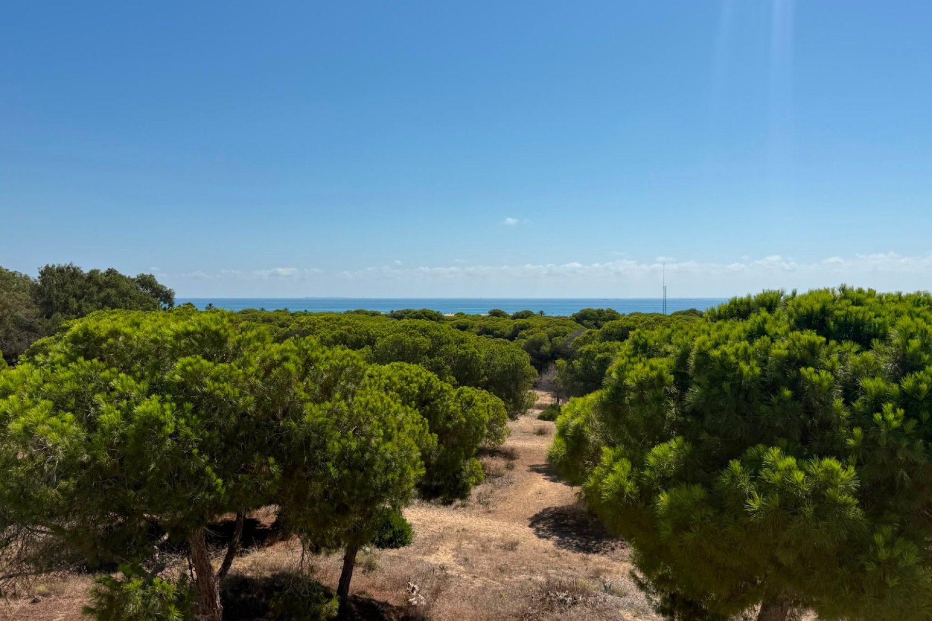 Herverkoop - Apartments - Flats - Guardamar del Segura