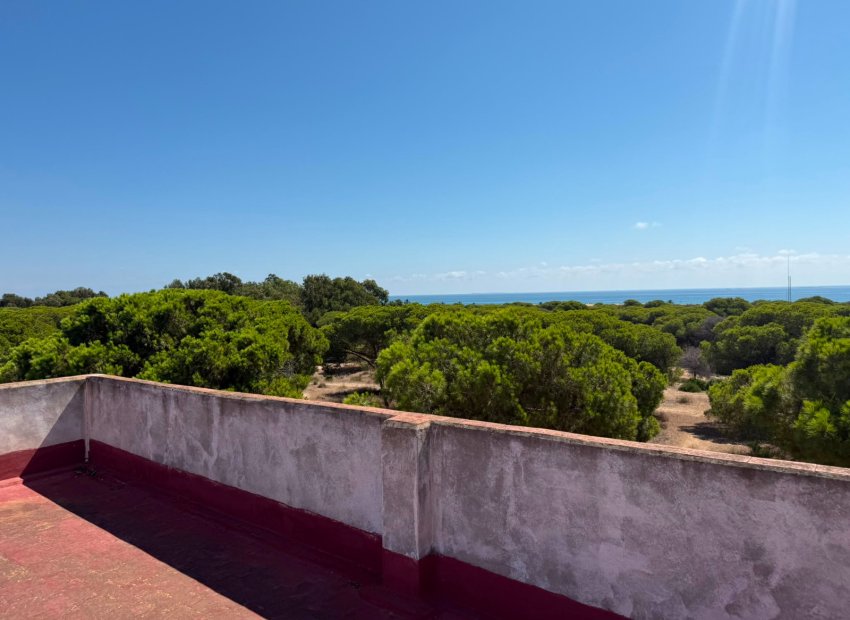 Herverkoop - Apartments - Flats - Guardamar del Segura