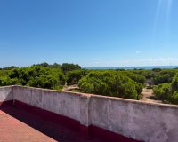 Herverkoop - Apartments - Flats - Guardamar del Segura