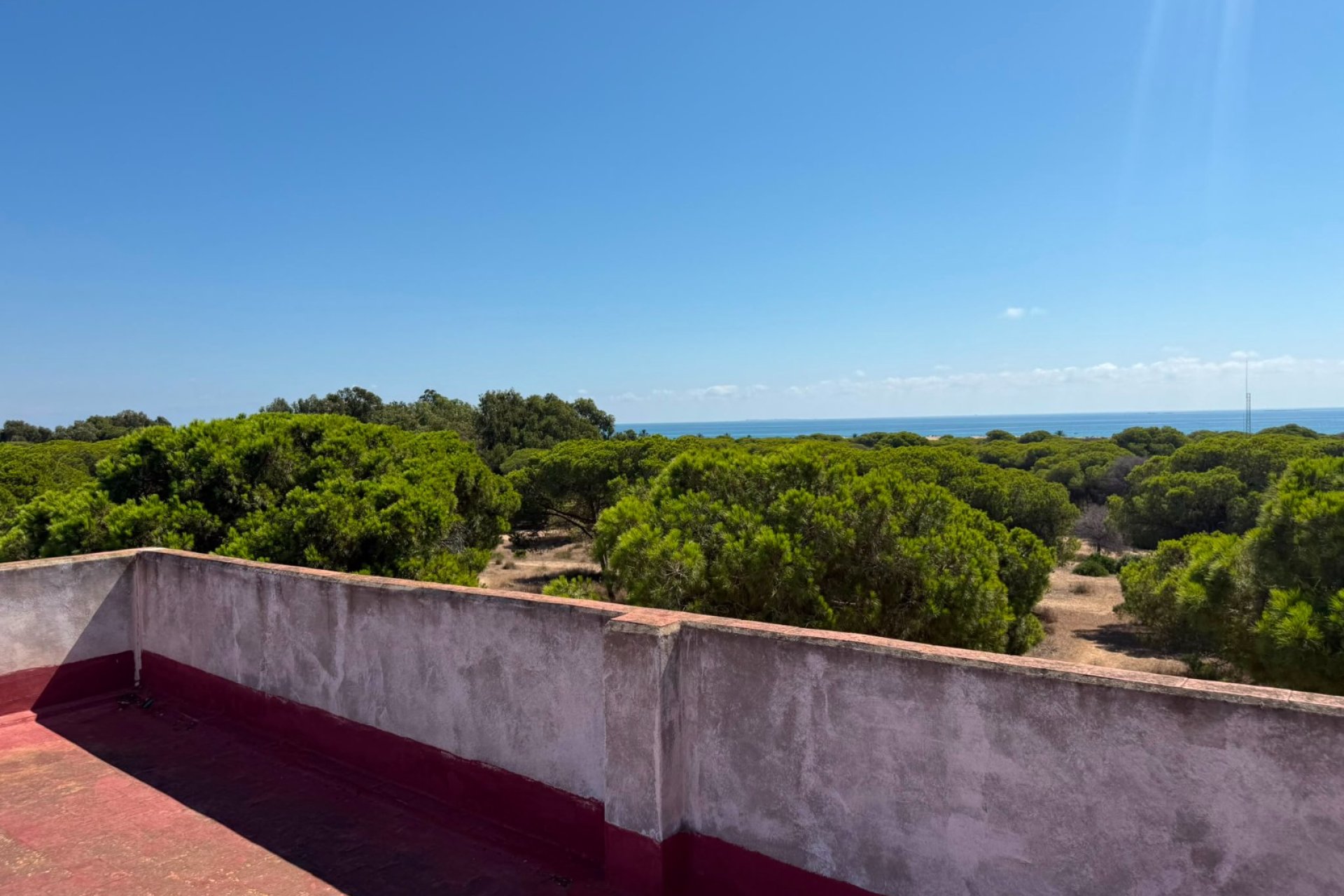 Herverkoop - Apartments - Flats - Guardamar del Segura