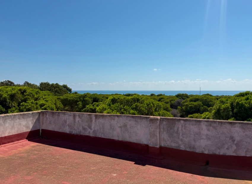 Herverkoop - Apartments - Flats - Guardamar del Segura