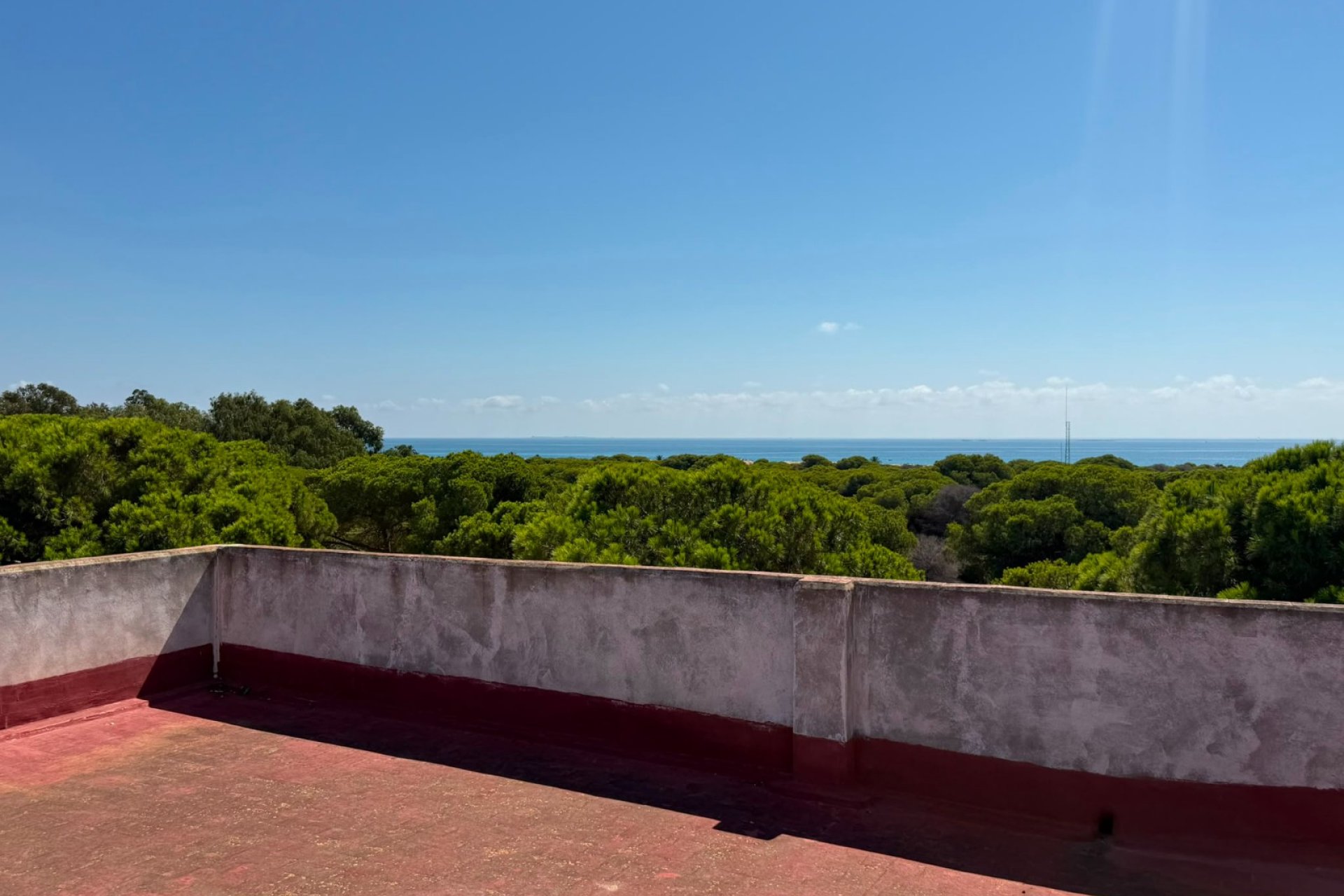 Herverkoop - Apartments - Flats - Guardamar del Segura