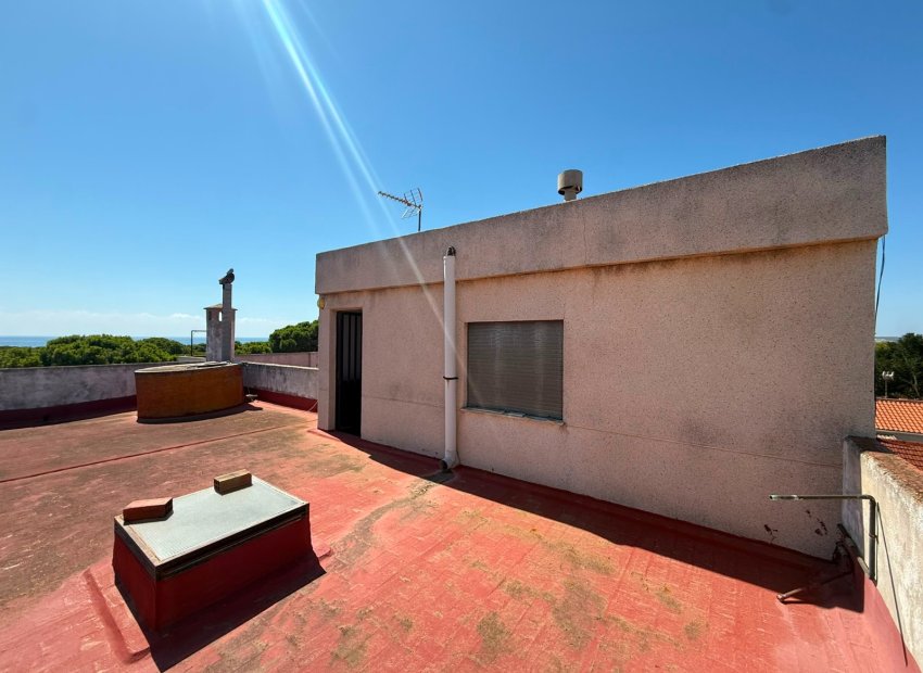 Herverkoop - Apartments - Flats - Guardamar del Segura