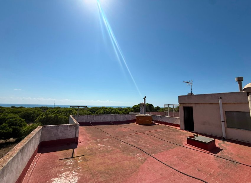 Herverkoop - Apartments - Flats - Guardamar del Segura
