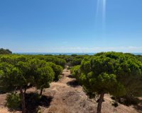 Herverkoop - Apartments - Flats - Guardamar del Segura