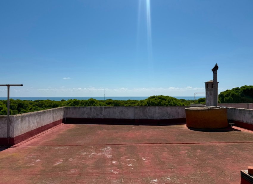 Herverkoop - Apartments - Flats - Guardamar del Segura