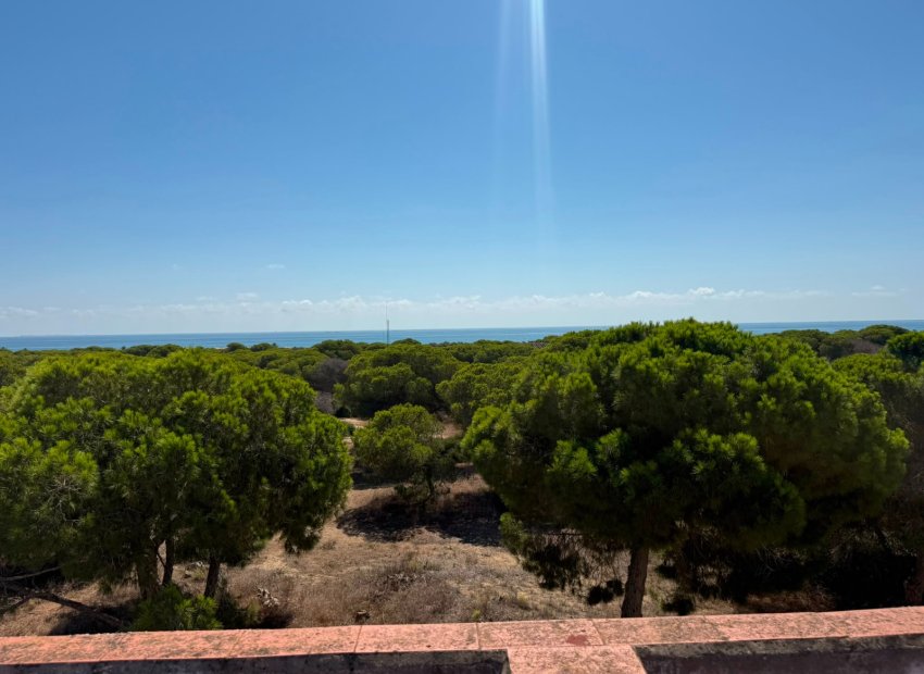 Herverkoop - Apartments - Flats - Guardamar del Segura