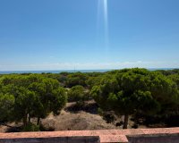 Herverkoop - Apartments - Flats - Guardamar del Segura