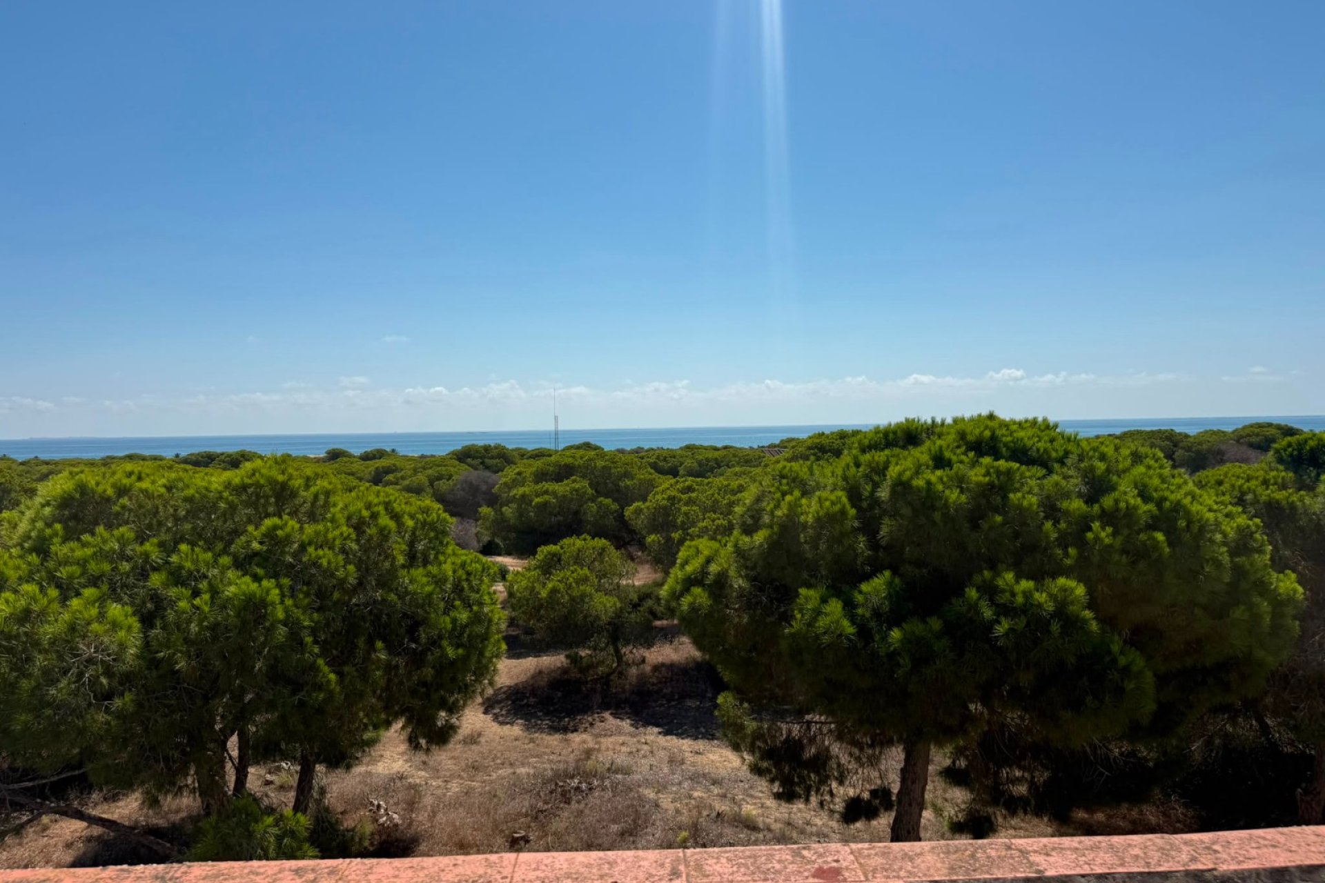 Herverkoop - Apartments - Flats - Guardamar del Segura