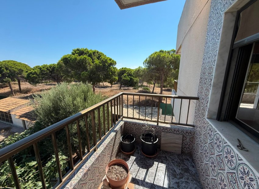 Herverkoop - Apartments - Flats - Guardamar del Segura