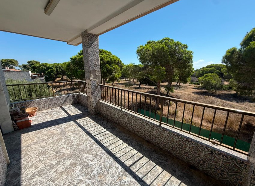 Herverkoop - Apartments - Flats - Guardamar del Segura