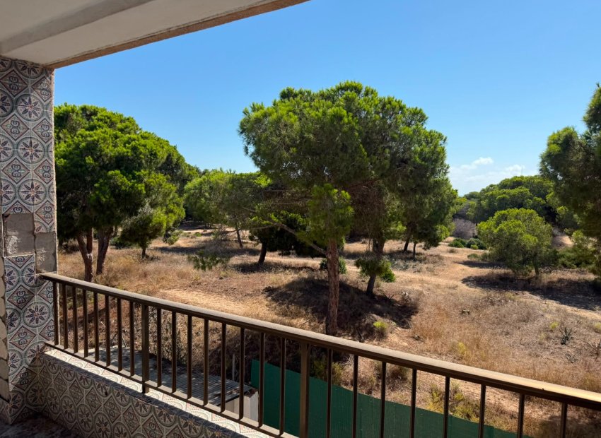 Herverkoop - Apartments - Flats - Guardamar del Segura