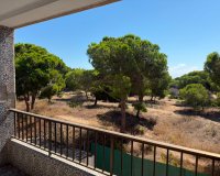Herverkoop - Apartments - Flats - Guardamar del Segura