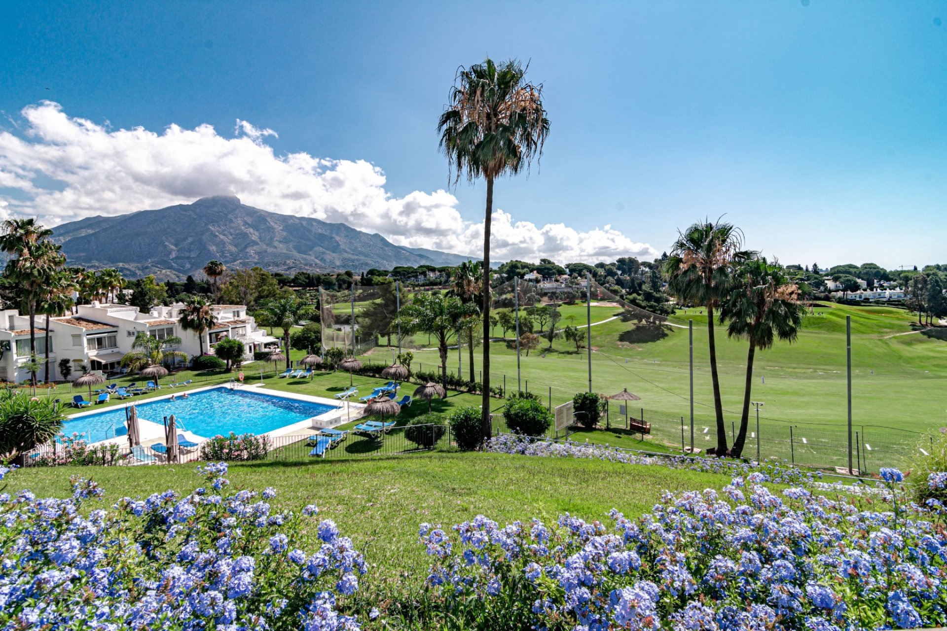 Herverkoop - Apartments - Flats - Marbella - Nueva Andalucía