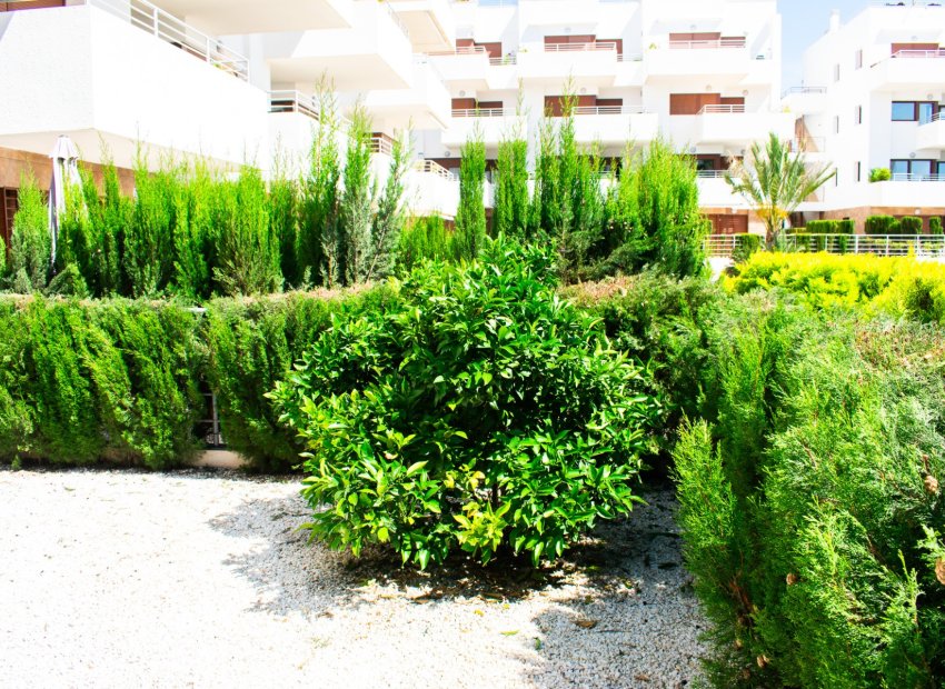 Herverkoop - Apartments - Flats - Orihuela Costa - Cabo Roig