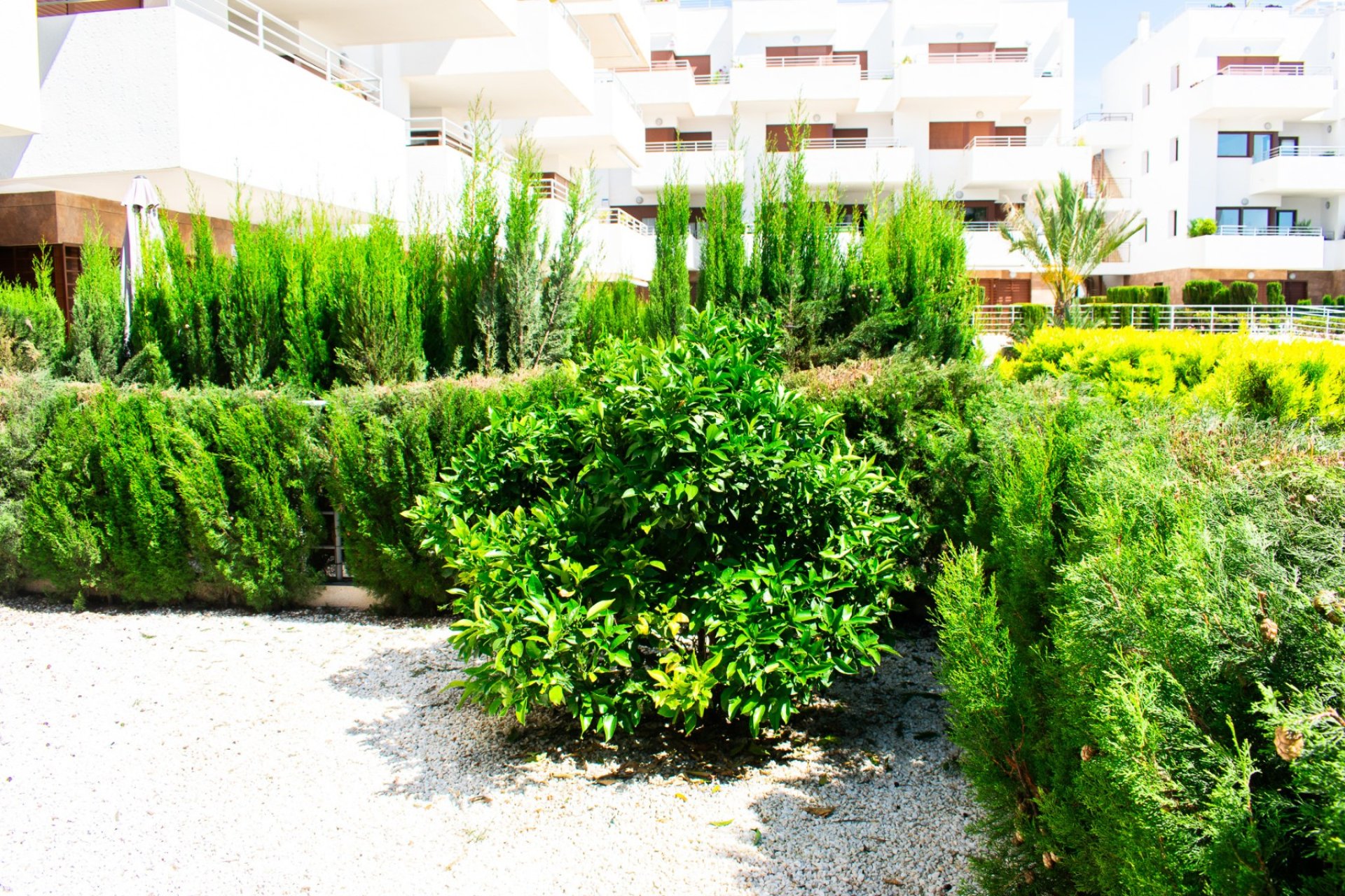 Herverkoop - Apartments - Flats - Orihuela Costa - Cabo Roig