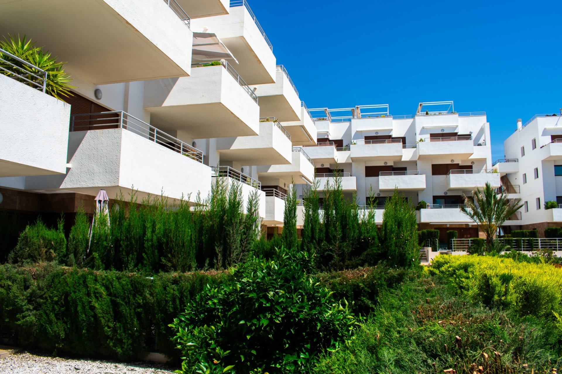 Herverkoop - Apartments - Flats - Orihuela Costa - Cabo Roig