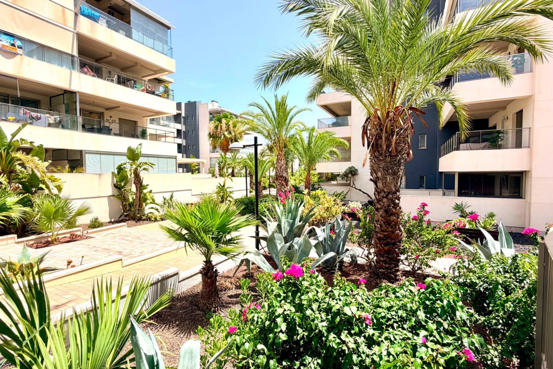 Herverkoop - Apartments - Flats - Orihuela Costa - La Zenia