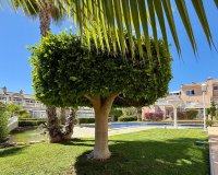 Herverkoop - Apartments - Flats - Orihuela Costa - Playa Flamenca