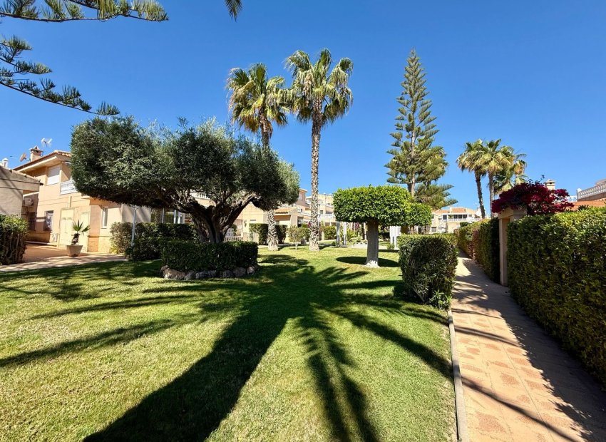Herverkoop - Apartments - Flats - Orihuela Costa - Playa Flamenca